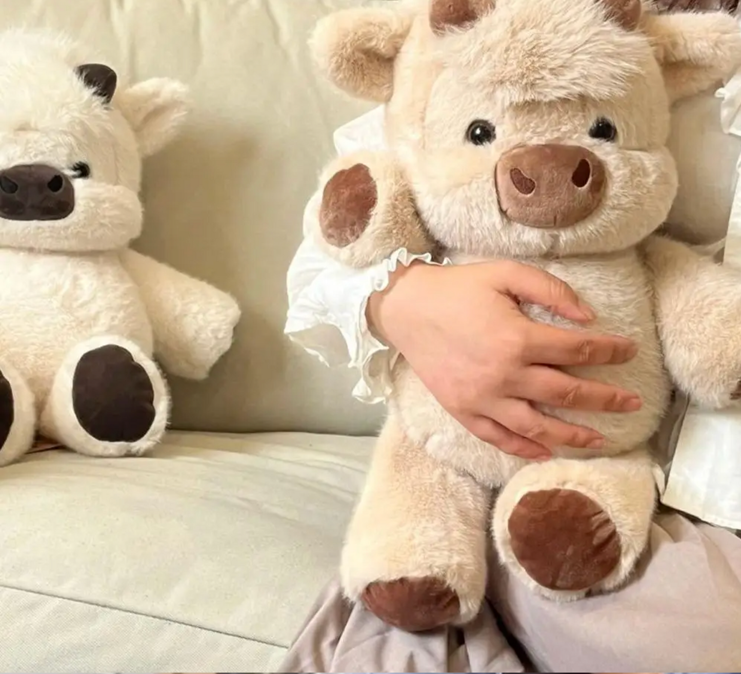 Soft Cow